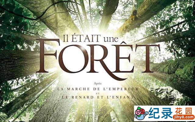 法国自然生态纪录片《从前有座森林 Once Upon a Forest》全1集 720P/1080i高清纪录片百度云下载