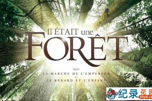 法国自然生态纪录片《从前有座森林 Once Upon a Forest》全1集 720P/1080i高清纪录片百度云下载