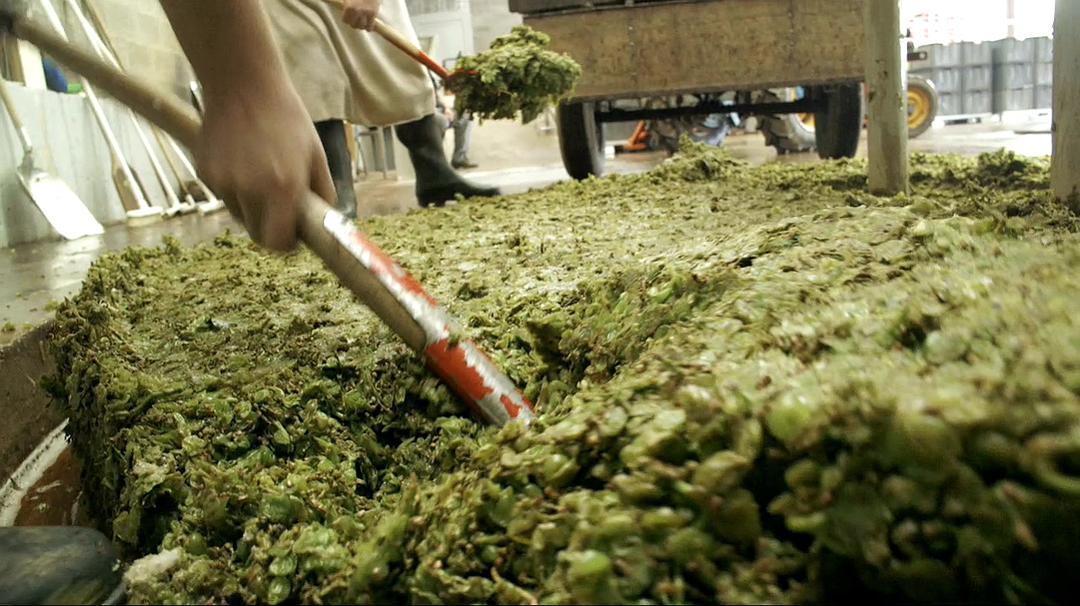 香槟的一年 A Year in Champagne