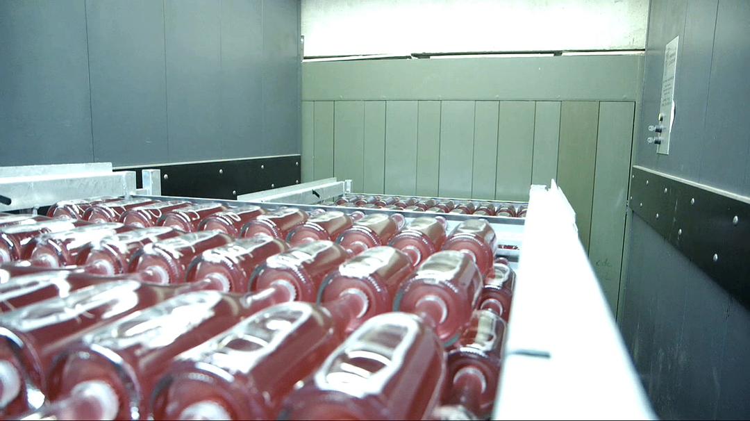 香槟的一年 A Year in Champagne