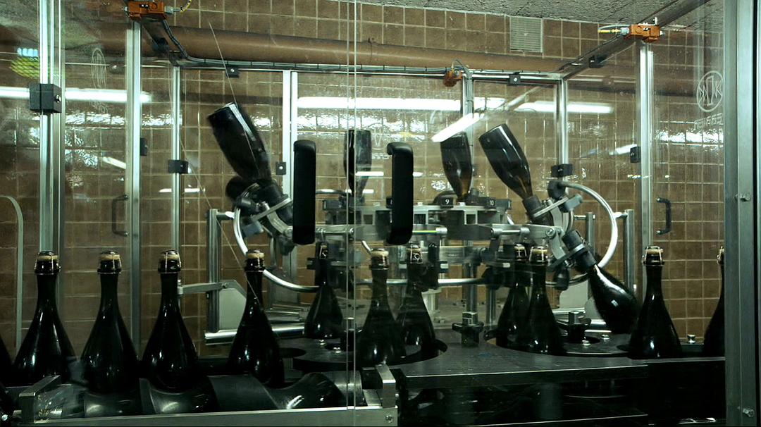 香槟的一年 A Year in Champagne