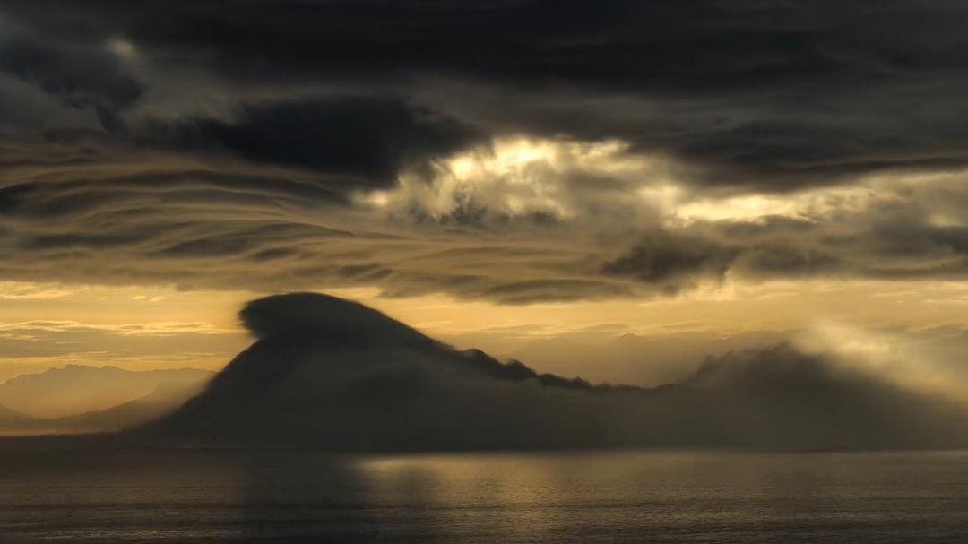 我的章鱼老师 My Octopus Teacher