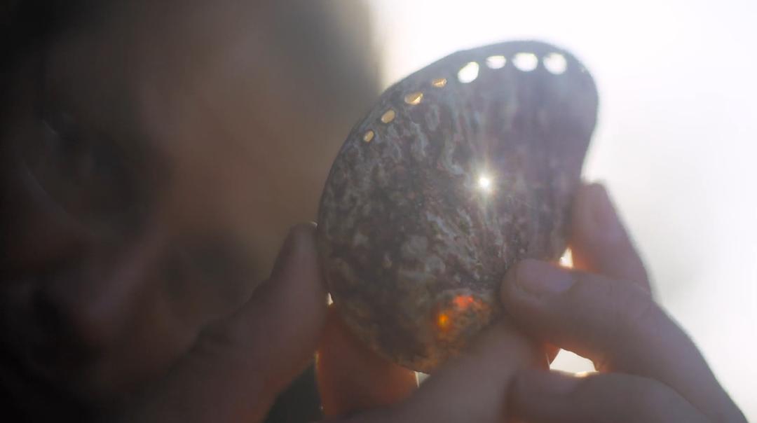 我的章鱼老师 My Octopus Teacher