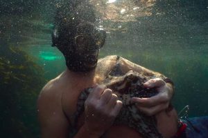 我的章鱼老师 My Octopus Teacher