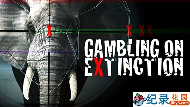 PTS野生动物保护纪录片《贪婪的杀戮 Gambling on Extinction》全1集中字 720P/1080i高清纪录片资源百度云盘下载