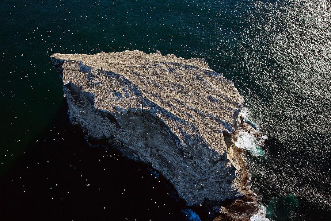 海洋星球 Planet Ocean