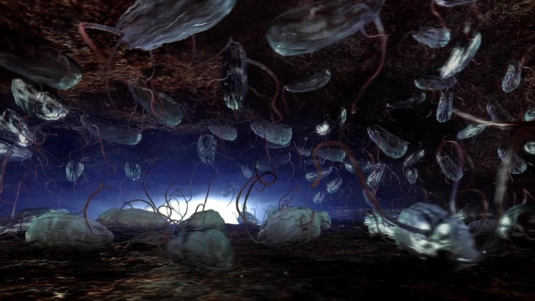 深海底火山 Volcanoes of the Deep Sea