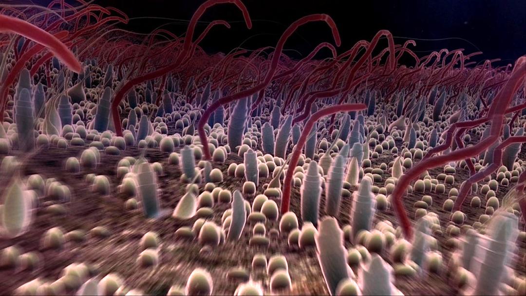 深海底火山 Volcanoes of the Deep Sea