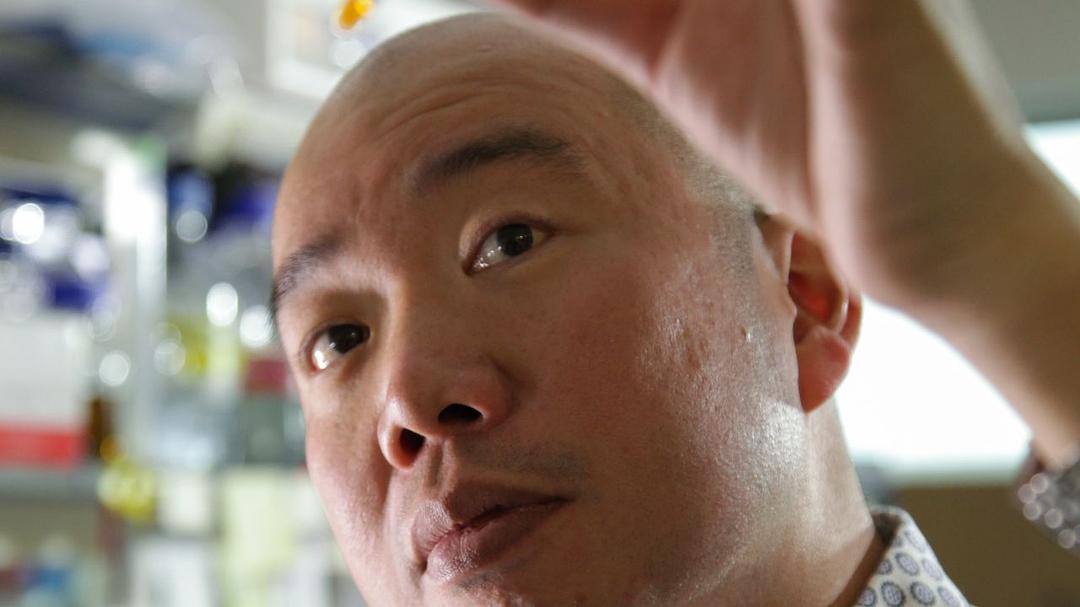 地平线系列：我们为什么胖 Horizon: Why Are We Getting So Fat?