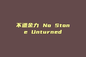 不遗余力 No Stone Unturned