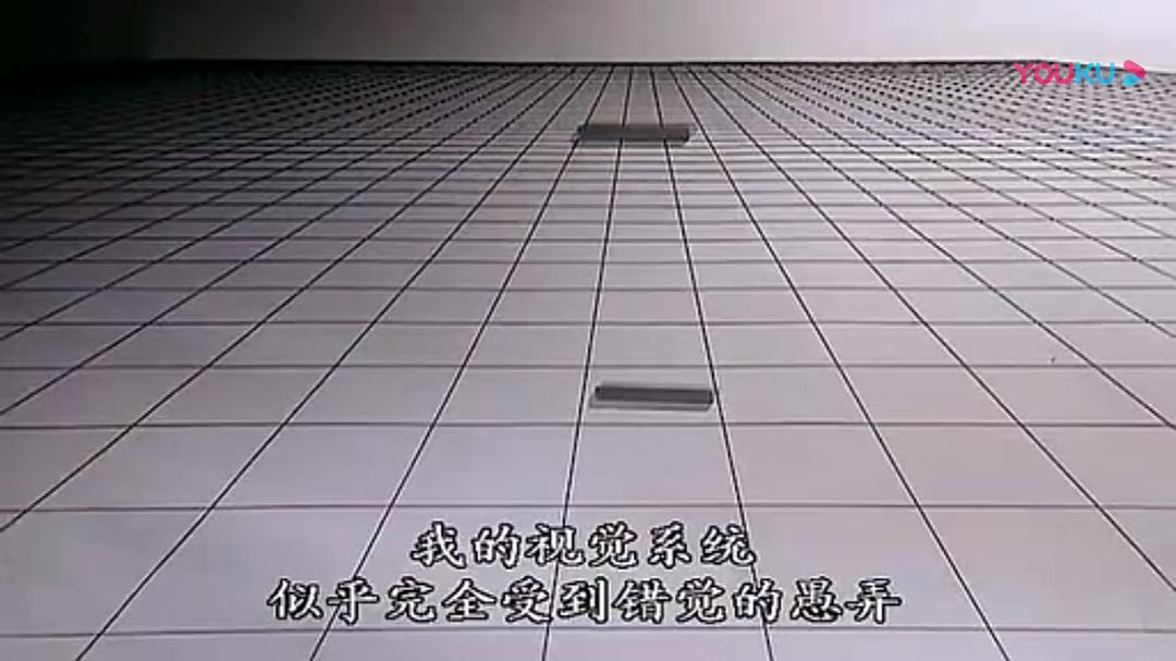 人脑漫游 Brain Story