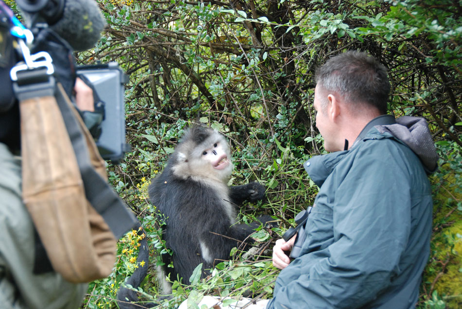 未发现的中国 Untamed China With Nigel Marven