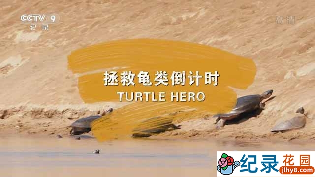 央视动物保护纪录片《拯救乌龟倒计时 Turtle Hero》全1集 TS/蓝光高清纪录片资源百度云盘下载