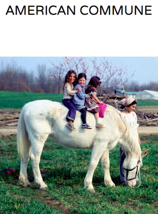 美国公社 American Commune