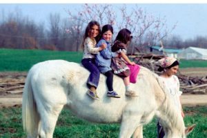 美国公社 American Commune