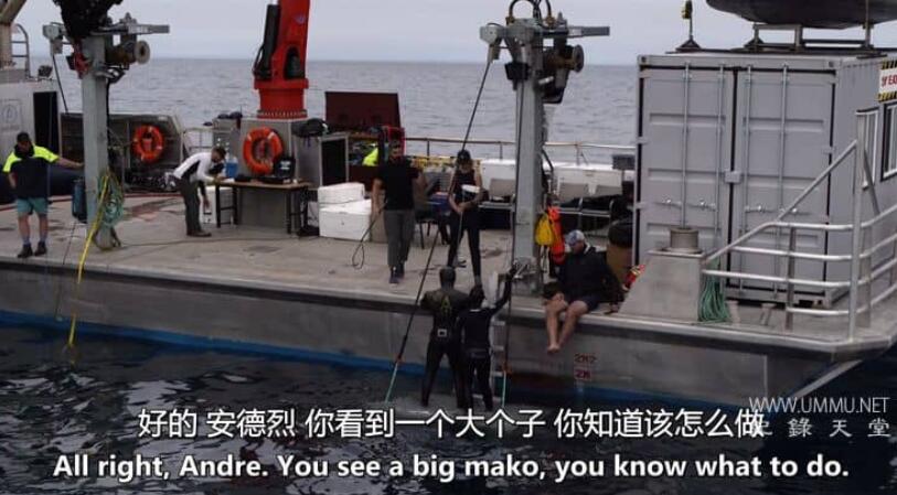 怪物真子：新鲜血液 Monster Mako: Fresh Blood