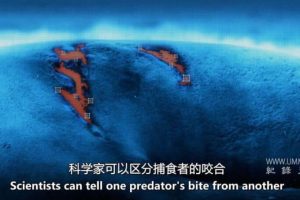 怪物真子：新鲜血液 Monster Mako: Fresh Blood