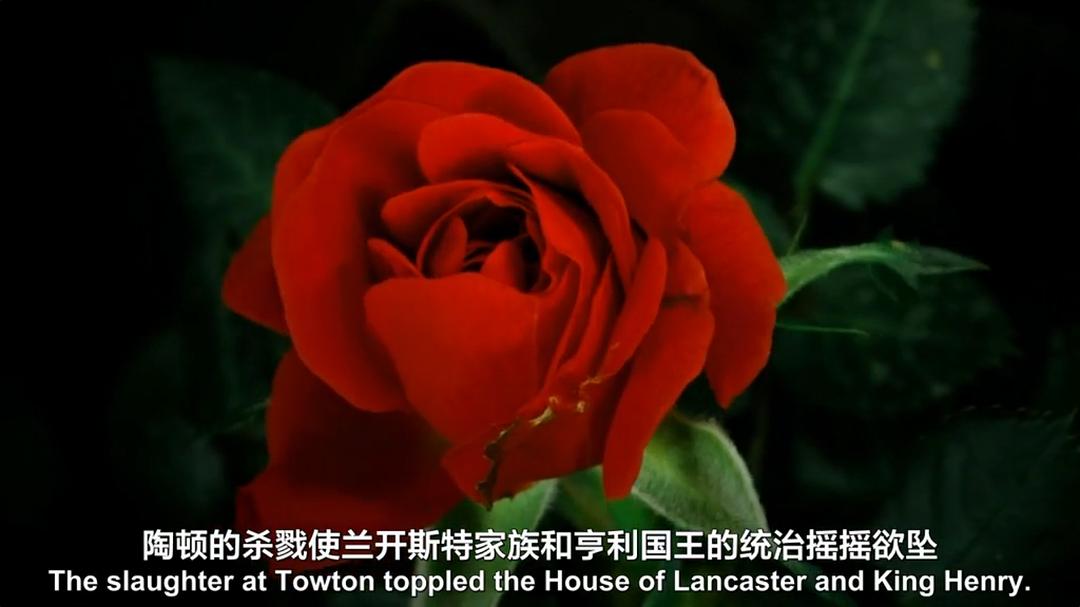 真实的白皇后 The Real White Queen and Her Rivals