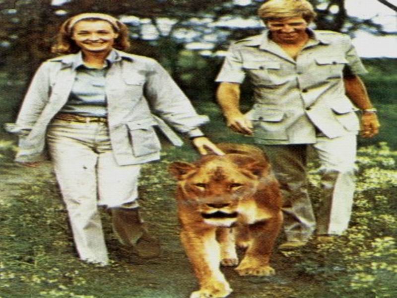 PBS：自然 – 艾尔莎的遗产：生而自由的故事 Elsa's Legacy: The Born Free Story