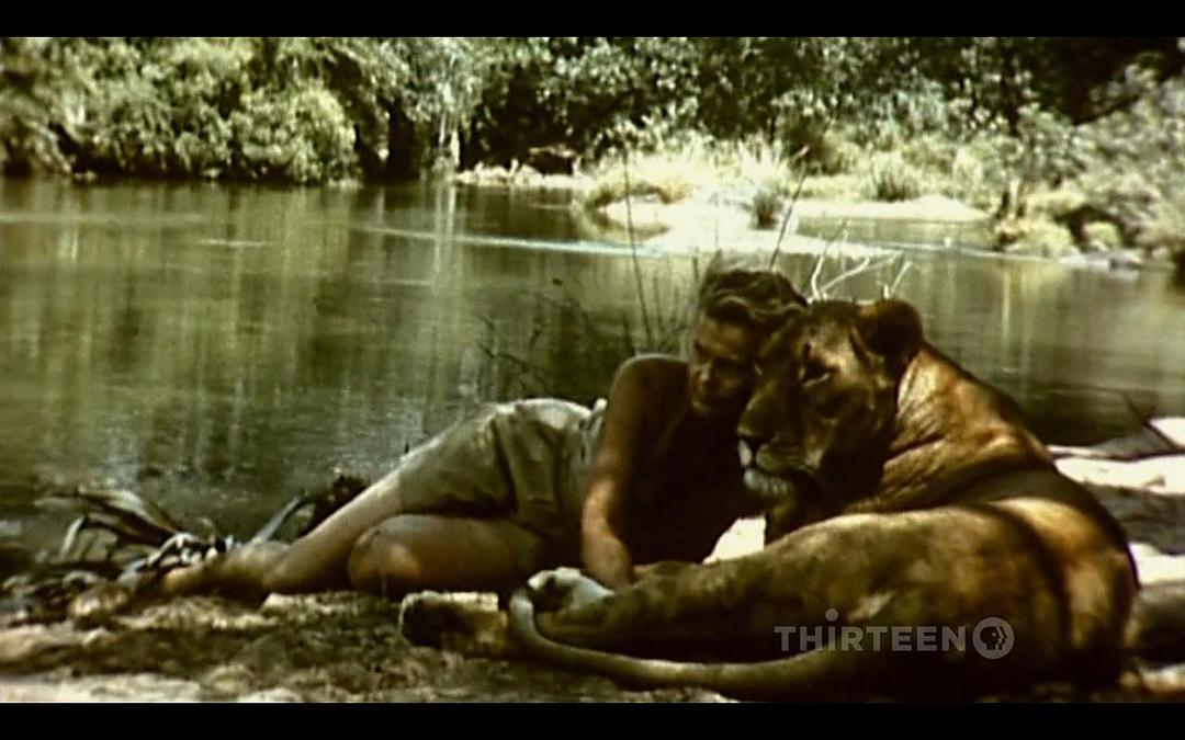 PBS：自然 – 艾尔莎的遗产：生而自由的故事 Elsa's Legacy: The Born Free Story