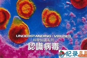 探索频道流行病科普纪录片《认识病毒 Understanding: Viruses》全1集 标清纪录片资源百度云盘下载