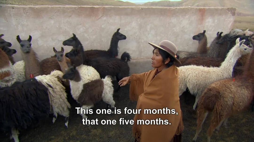 绝世险途 第一季 World's Most Dangerous Roads Season 1