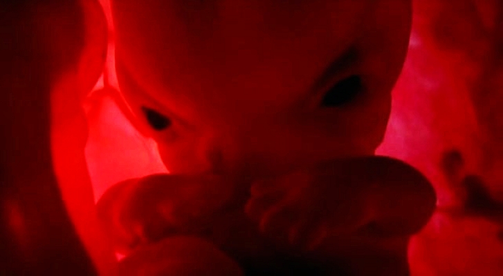 子宫日记 In the Womb
