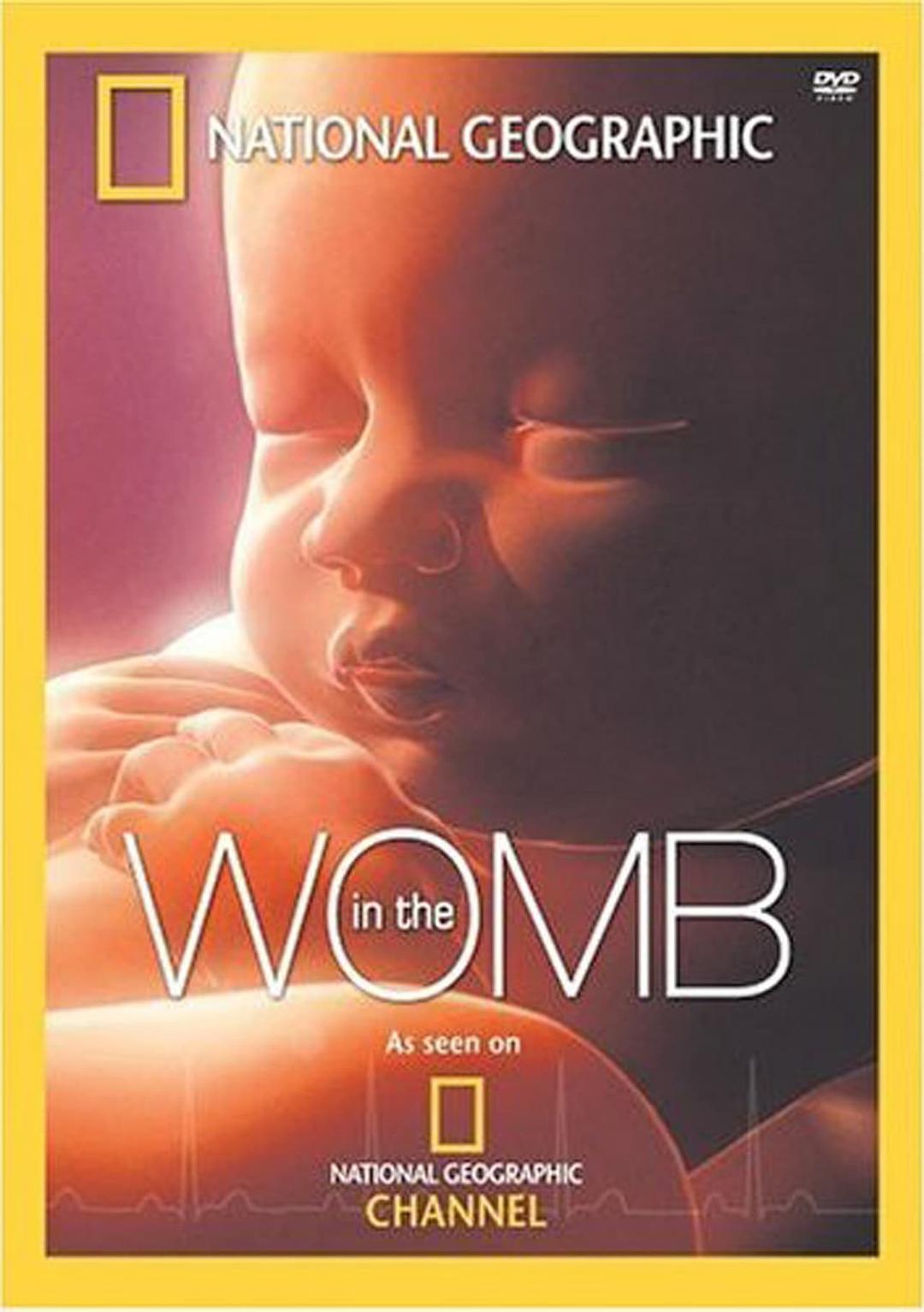 子宫日记 In the Womb