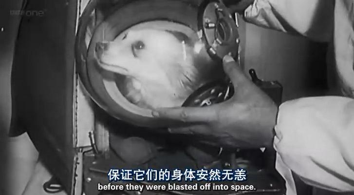 超级无敌掌门狗：发明的世界 Wallace and Gromit's World of Invention