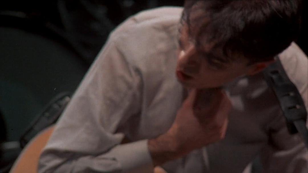 别假正经 Stop Making Sense