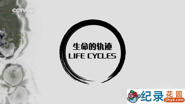 BBC动物研究纪录片《生命的轨迹 Life Cycles》全6集中字 TS/蓝光高清纪录片资源百度云盘下载
