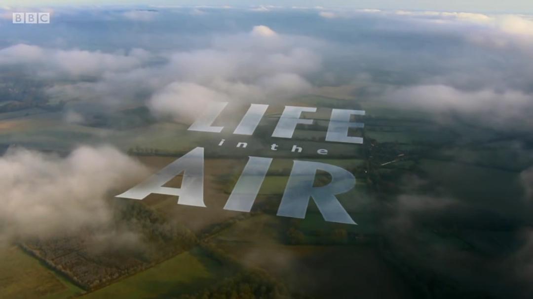 空中生灵 Life in the Air