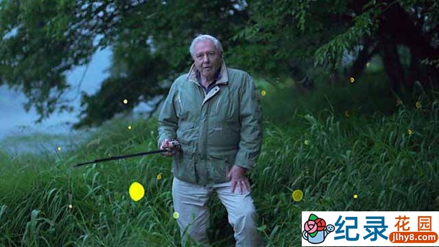 BBC生命探索纪录片《爱登堡讲述生命之光 Attenborough’s Life That Glows》全1集 720P/1080i高清纪录片百度云下载