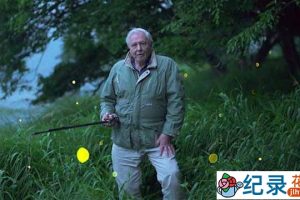 BBC生命探索纪录片《爱登堡讲述生命之光 Attenborough’s Life That Glows》全1集 720P/1080i高清纪录片百度云下载