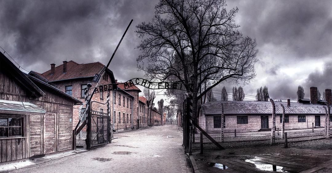 奥斯威辛：纳粹的最终解决方案 Auschwitz: The Nazis and the 'Final Solution'
