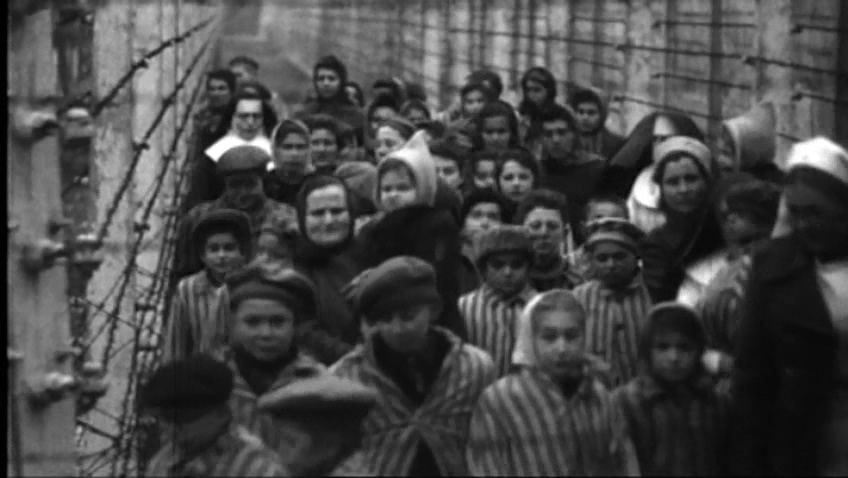 奥斯威辛：纳粹的最终解决方案 Auschwitz: The Nazis and the 'Final Solution'