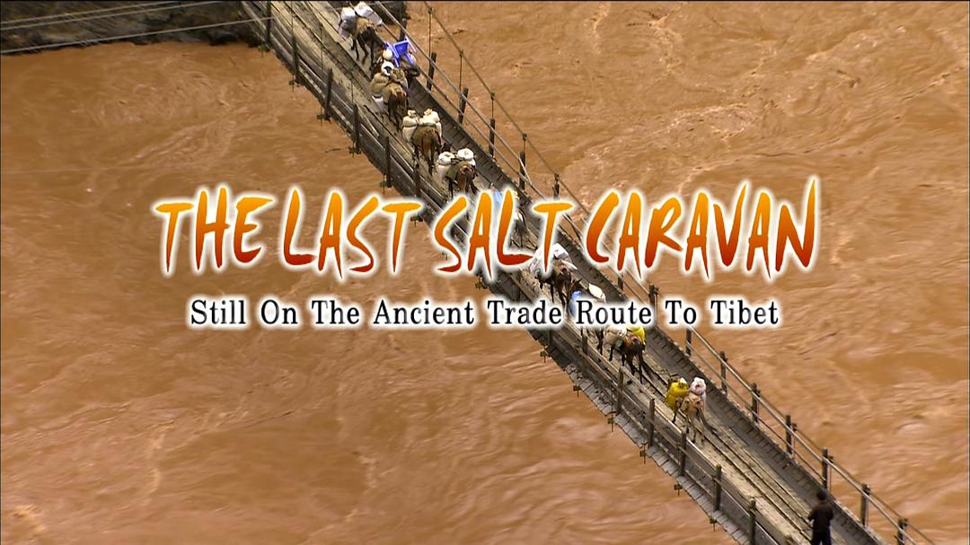 最后的盐道 The Last Salt Caravan