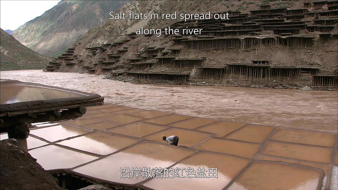 最后的盐道 The Last Salt Caravan