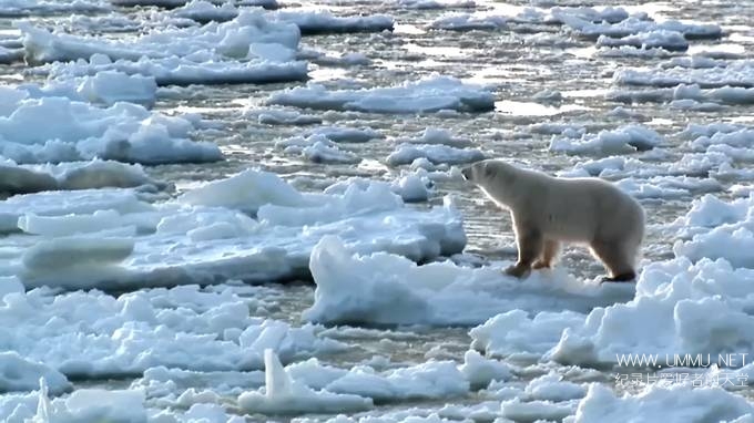 北极秘密 Arctic Secrets