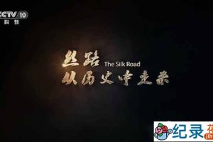 央视历史人文纪录片《丝路，从历史中走来》全6集 TS/蓝光高清纪录片资源百度云盘下载