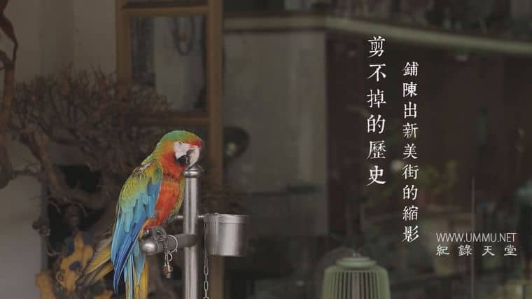 小城光影 One City with 36 Frames