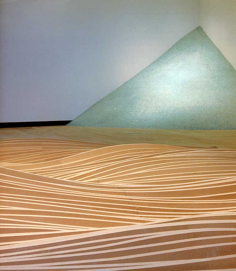 林璎：强烈而清晰的洞察力 Maya Lin: A Strong Clear Vision