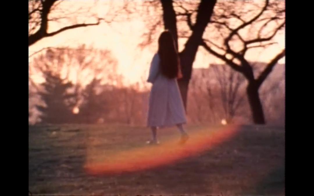 林璎：强烈而清晰的洞察力 Maya Lin: A Strong Clear Vision