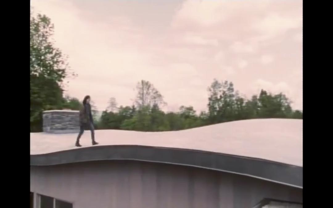 林璎：强烈而清晰的洞察力 Maya Lin: A Strong Clear Vision