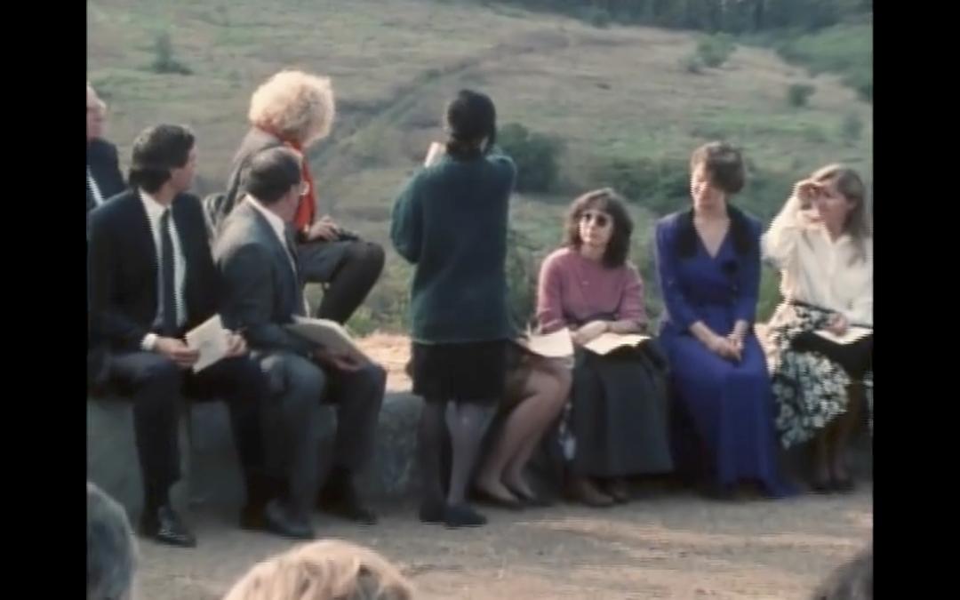 林璎：强烈而清晰的洞察力 Maya Lin: A Strong Clear Vision