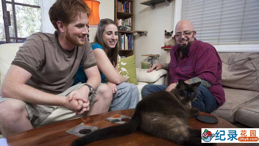 管教恶猫纪录片《金牌训猫师》第11季全1集中字 纪录片解说素材百度云盘下载 1080P/MP4/2.37G