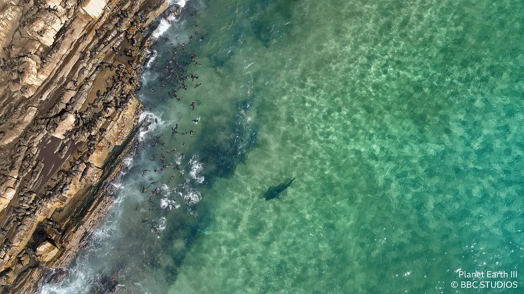 地球脉动 第三季 Planet Earth Season 3