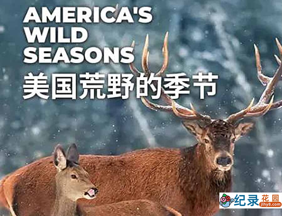 自然生态纪录片《美国荒野的季节 America’s Wild Seasons》全4集中字 纪录片资源百度云盘下载 1080/MP4/8.23G