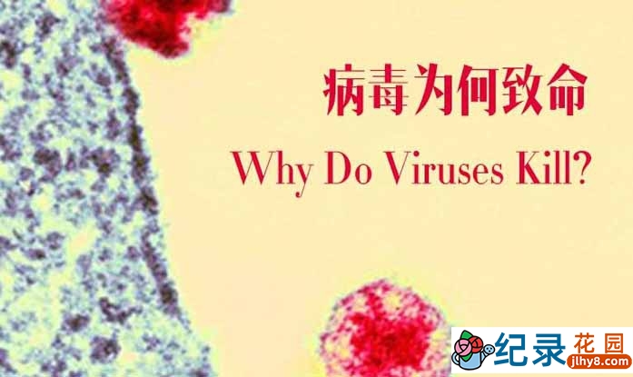 BBC传染病科普纪录片《病毒为何致命 Why Do Viruses Kill》全1集 720P/1080i高清纪录片资源百度云盘下载