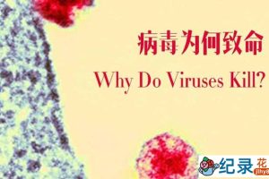 BBC传染病科普纪录片《病毒为何致命 Why Do Viruses Kill》全1集 720P/1080i高清纪录片资源百度云盘下载